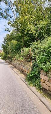 Foto - Grundstück in Staudernheim - 8.000,00&nbsp;EUR Kaltmiete, ca.&nbsp; 0,00&nbsp;m&sup2;