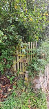 Foto - Grundst&uuml;ck zur Miete in Weiler bei Bingen