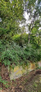 Foto - Grundst&uuml;ck in Weiler bei Bingen