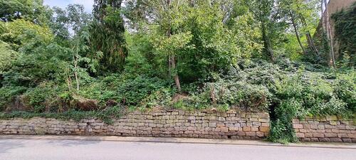 Foto - Grundst&uuml;ck in Weiler bei Bingen zur Miete