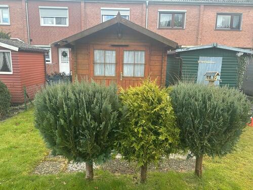 Foto - Reihenhaus in Preetz zum Kaufen