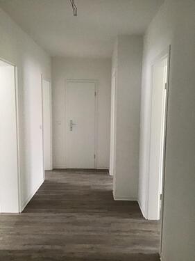 Foto - 2 Zimmer Etagenwohnung in Duisburg