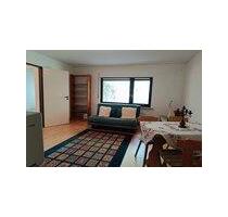 Teilmöblierte Wohnung im Erdgeschoss 75qm mit Terrasse - Blankenheim