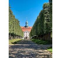 3- Raumwohnung mit Einbauküche - 710,00&nbsp;EUR Kaltmiete, ca.&nbsp; 64,00&nbsp;m&sup2; in Niederwiesa (PLZ: 09577)