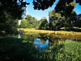 Foto - Grundst&uuml;ck zur Miete in Radeburg