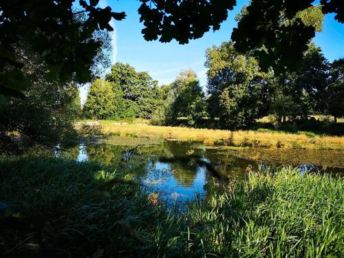 Foto - Grundst&uuml;ck zur Miete in Radeburg
