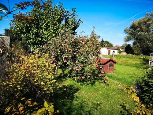 Foto - Grundst&uuml;ck in Radeburg