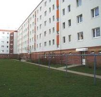 Komplett modernisiert: Hochwertiges Wohnen mit Aufzugskomfort - Greifswald Groß Schönwalde