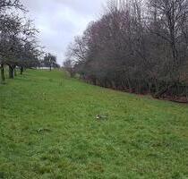 Wiese, Grünland zu verpachten - Erlenbrunn, Torweg - 2026 - Pirmasens Niedersimten