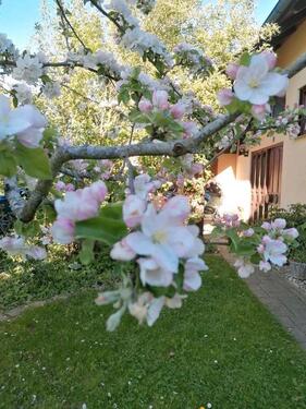 Foto - 4 Zimmer Dachgeschoßwohnung in Calw