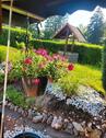 Foto - Gepflegter Pachtgarten in Lugau