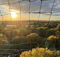 Eine schöne Wohnung mit gutem Ausblick - Hamburg Altona