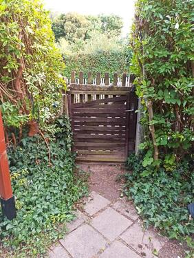 Foto - Grundst&uuml;ck zur Miete in Plauen
