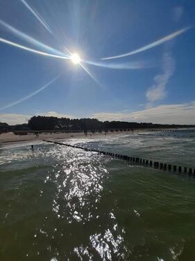 Foto - Zingst Ferienwohnung frei vom 8.5. bis 28.5.2026 für 2 Pers.