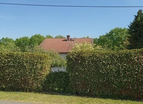 Foto - 4 Zimmer Einfamilienhaus in Weißwasser (Oberlausitz)