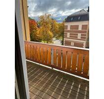 Helle Wohnung bei Schwanenteich, citynah - Zwickau