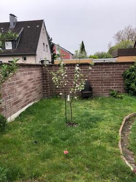 Foto - Einfamilienhaus in Hannover zum Kaufen