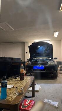 Foto - andere in Diepholz