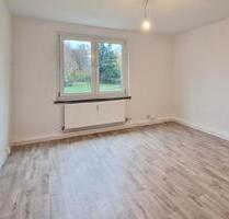 Selbst renovieren - dafür günstiger mieten! Ihre 3-Zimmer-Wohnung in 29413 Bonese! - Diesdorf