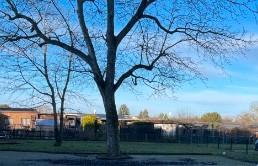 Foto - Etagenwohnung in Magdeburg