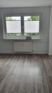 Foto - 1 Zimmer Etagenwohnung zur Miete in Ferdinandshof