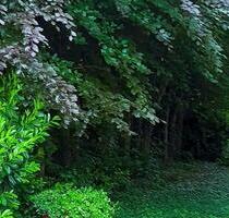 3 Zimmer Wohnjuwel mit Traumblick auf Nordrand des Schwarzwaldes! - Pforzheim Dillweißenstein