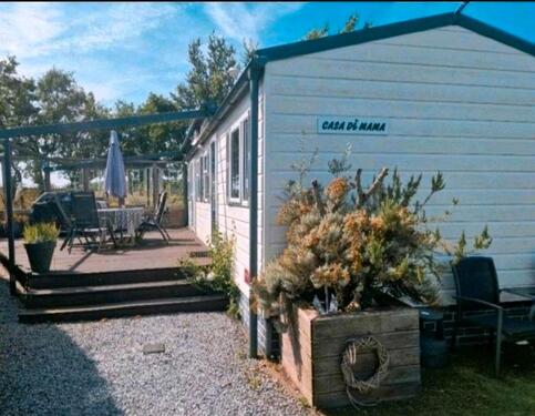 Foto - Ferienhaus Mobilheim Chalet Renesse zeeland de Brem Sommerferien