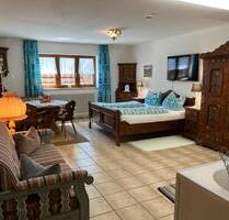 1-Zimmer-Wohnung mit Einbauküche und Badezimmer - Titisee-Neustadt