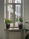 Foto - Helles, geräumiges Office in der Speicherstadt zu vermieten