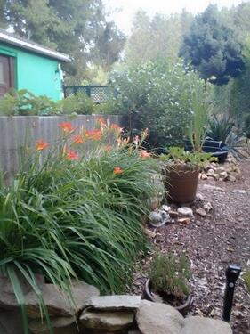 Foto - Einfamilienhaus in Oberschöna