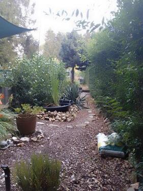 Foto - Einfamilienhaus in Oberschöna zum Kaufen