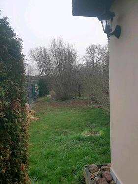 Foto - Grundst&uuml;ck zur Miete in Taucha