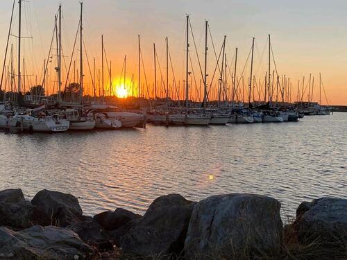 Foto - andere in Bornheim zur Miete