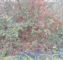 Schrebergarten mit Hütte sowie offener Stallung und Koppel - Hanau Groß-Steinheim