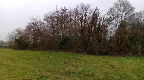 Foto - Grundstück in Hanau