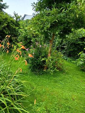 Foto - Doppelhaushälfte in Grimmen zum Kaufen