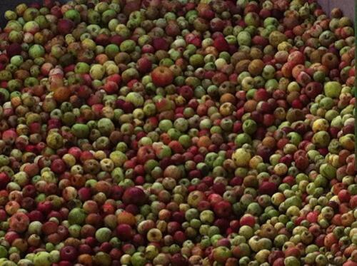 Foto - Grundst&uuml;ck in Metzingen