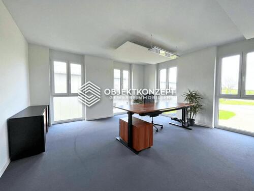 Foto - andere in Aldingen