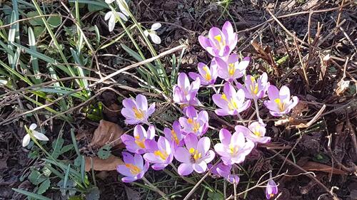 Foto - 4-Zimmer Dachgeschoss-Wohnung in Detmold **LESEN !!**