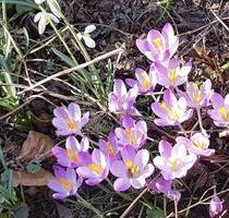 4-Zimmer Dachgeschoss-Wohnung in Detmold **LESEN !!**