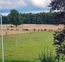 3 Zi Wohnung in Wehden - 700,00 EUR Kaltmiete, in Loxstedt (PLZ: 27612)