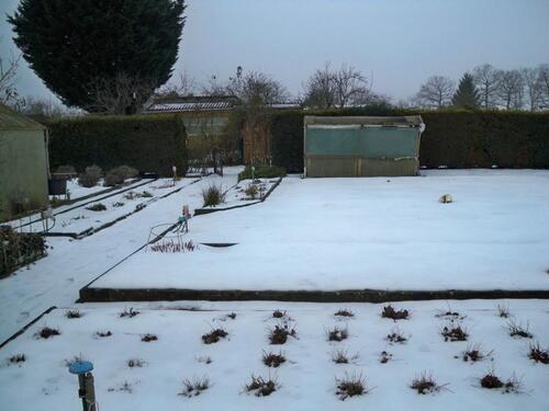 Foto - Grundst&uuml;ck zur Miete in Genthin