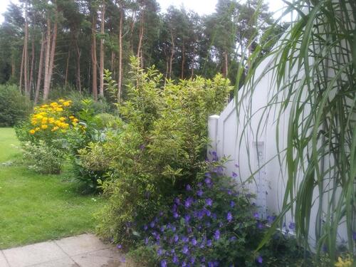 Foto - andere zur Miete in Graal-Müritz