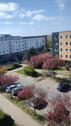 Foto - 3-Raum-Wohnung - 480,00&nbsp;EUR Kaltmiete, ca.&nbsp; 63,00&nbsp;m&sup2;