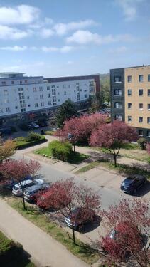 Foto - 3-Raum-Wohnung - 480,00&nbsp;EUR Kaltmiete, ca.&nbsp; 63,00&nbsp;m&sup2;