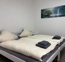 Möblierte 2-Zimmer-Wohnung in Heilbronn am Pfühlpark - Forchtenberg