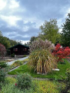 Foto - Kleingärten nahe Löbauer Berg und Stadion