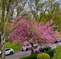 4 Zimmer-ETW direkt am Stadtpark-zur Wakenitz ca. 150m - Lübeck Sankt Gertrud