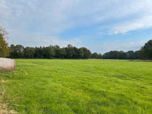 Foto - Einfamilienhaus in Aurich zum Kaufen