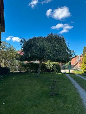 Foto - Einfamilienhaus zum Kaufen in Jarmen